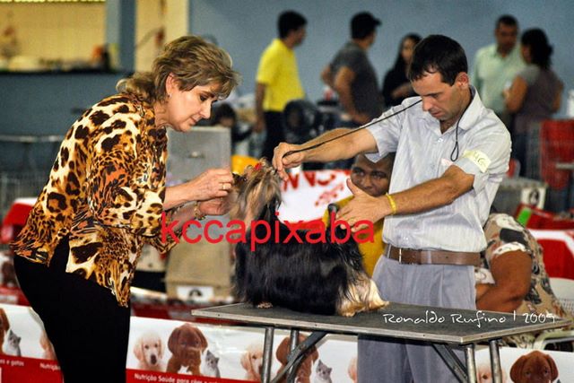 Clique sobre a foto para fechar